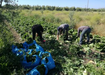 Προσφορά ανθρωπιάς από δημότες στις κοινωνικές δομές του Δήμου Ανδρίτσαινας – Κρεστένων