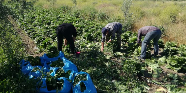 Προσφορά ανθρωπιάς από δημότες στις κοινωνικές δομές του Δήμου Ανδρίτσαινας – Κρεστένων