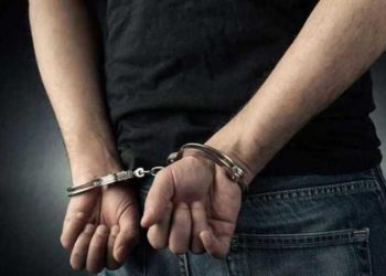 Εξιχνίαση κλοπής στην Αμαλιάδα
