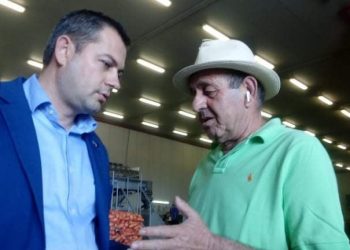 Θ. ΒΑΣΙΛΟΠΟΥΛΟΣ: “Θέμα de minimis στο τραπέζι για τις ζημιές σε ελιές και πορτοκάλια βάζει το Υπουργείο!”