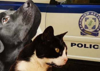 Σχηματισμός δικογραφίας σε βάρος αγνώστων δραστών για παράβαση της νομοθεσίας περί δεσποζομένων και αδέσποτων ζώων συντροφιάς