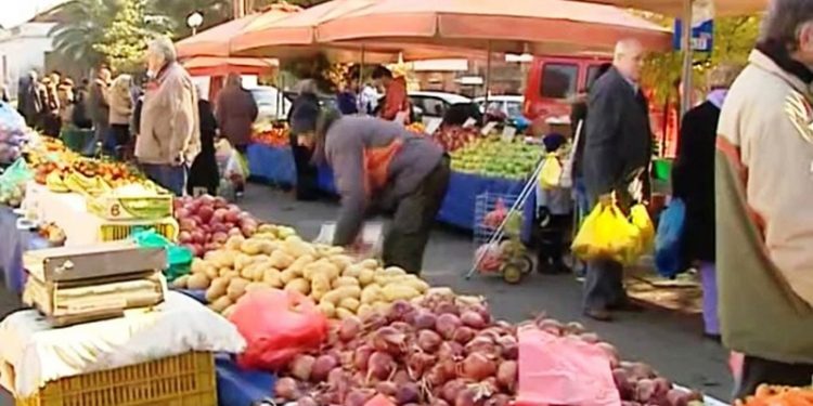 Δήμος Ήλιδας: “Η Λαϊκή Αγορά Αμαλιάδας θα λειτουργήσει κανονικά το Σάββατο 6 Ιουνίου με τα ισχύοντα υγειονομικά πρωτόκολλα”