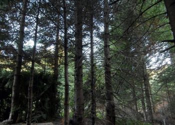 Περιβάλλον: Ποιες οι επιδόσεις της Ελλάδας στην προστασία του