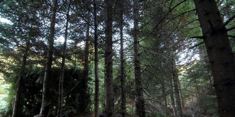 Περιβάλλον: Ποιες οι επιδόσεις της Ελλάδας στην προστασία του