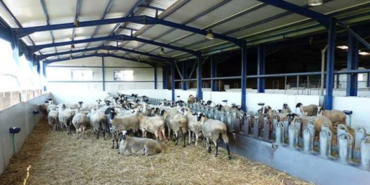 Π.Ε ΗΛΕΙΑΣ: Ενημέρωση για παράταση προθεσμίας στις αδειοδοτήσεις των κτηνοτροφικών εκμεταλλεύσεων του Ν. 4056/2012