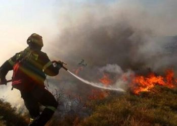 Λαντζόι: Πυρκαγιά σε λιοστάσι στην περιοχή του Γραμματικού