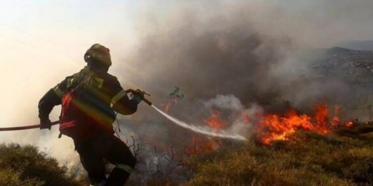 Λαντζόι: Πυρκαγιά σε λιοστάσι στην περιοχή του Γραμματικού