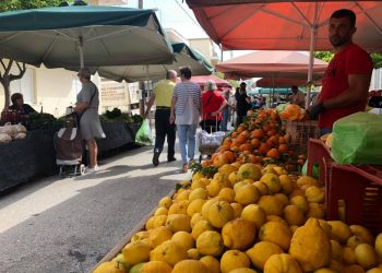 ΔΗΜΟΣ ΠΥΡΓΟΥ: Στη Δεξαμενή αύριο η Λαϊκή Αγορά