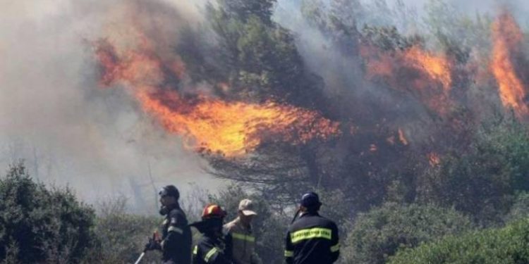 Σε κατάσταση έκτακτης ανάγκης οι πληγείσες Κοινότητες του Δήμου Αρχαίας Ολυμπίας