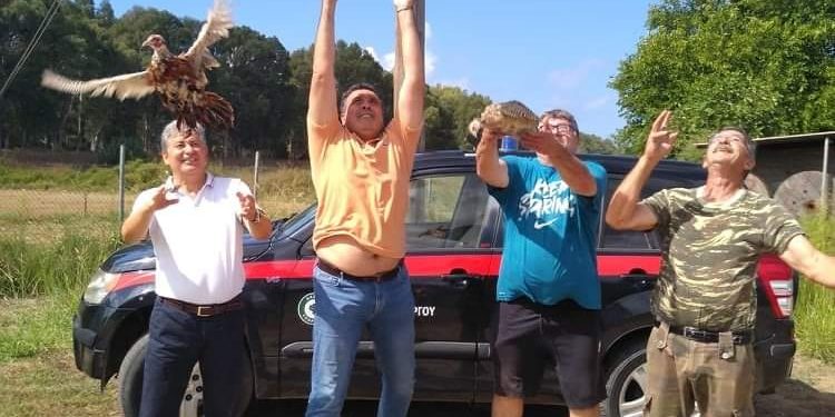 ΔΑΣΑΡΧΕΙΟ ΠΥΡΓΟΥ ΜΕ ΚΥΝΗΓΕΤΙΚΟ ΣΥΛΛΟΓΟ ΠΥΡΓΟΥ: Δακτυλίωση και απελευθέρωση φασιανών