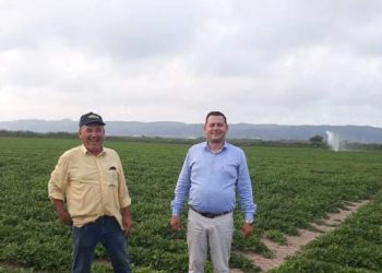 Θ.ΒΑΣΙΛΟΠΟΥΛΟΣ: “Η φετινή παραγωγή στις  καλλιέργειες φιστικιών στην πρώην λίμνη Αγουλινίτσας”