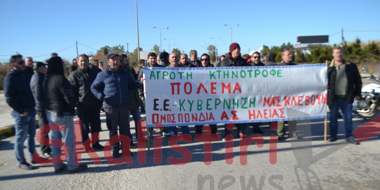 ΟΜΟΣΠΟΝΔΙΑ ΑΓΡΟΤΙΚΩΝ ΣΥΛΛΟΓΩΝ ΗΛΕΙΑΣ: “Στήριξη των πληγέντων αγροτοκτηνοτρόφων με πάγωμα των χρεών”