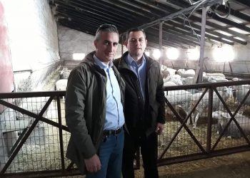Θ.ΒΑΣΙΛΟΠΟΥΛΟΣ: “Υπηρεσία μιας στάσης για άδεια εγκατάστασης στάβλου και μάλιστα εντός 50 ημερών!”