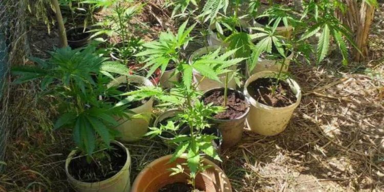 Σύλληψη δυο ατόμων για κατοχή ναρκωτικών