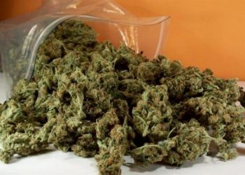 Συνελήφθησαν δυο άνδρες στην Εθνική Οδό Πατρών – Πύργου για κατοχή ναρκωτικών