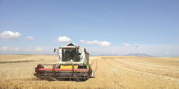 Καταβολή 1,3 εκατ. σε 38 δικαιούχους από τον ΟΠΕΚΕΠΕ