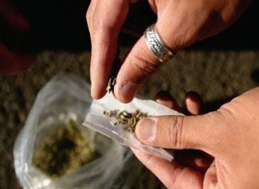 ΑΜΑΛΙΑΔΑ: Σύλληψη για κατοχή ναρκωτικών