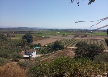 Ο όμορφος κάμπος του Πύργου