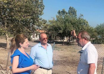 ΔΙΟΝΥΣΙΑ ΑΥΓΕΡΙΝΟΠΟΥΛΟΥ: Έγκριση καταλληλότητας πτήσεων για το αεροδρόμιο Επιταλίου