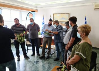 «Σάρωσαν» τις ελιές ισχυροί άνεμοι και χαλάζι…