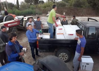 Θ.ΒΑΣΙΛΟΠΟΥΛΟΣ: “Απαιτείται υπευθυνότητα και  ευσυνειδησία στο πρόγραμμα δακοκτονίας…”