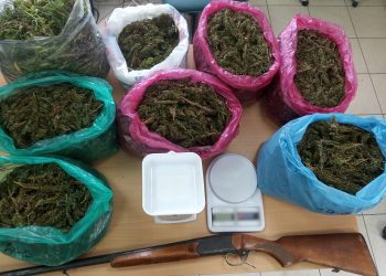 Συνελήφθη καλλιεργητής ναρκωτικών στην Ηλεία