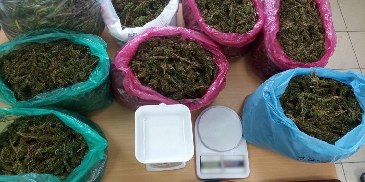 Συνελήφθη καλλιεργητής ναρκωτικών στην Ηλεία