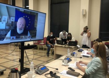 ΔΙΟΝΥΣΙΑ ΑΥΓΕΡΙΝΟΠΟΥΛΟΥ: Στο επίκεντρο η Ευρωπαϊκή Πράσινη Συμφωνία και η Κοινή Αγροτική Πολιτική