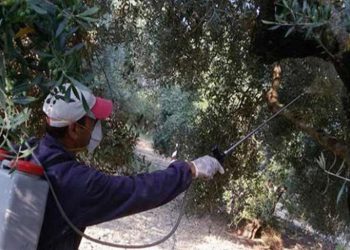 Π.Ε ΗΛΕΙΑΣ: Δολωματικοί ψεκασμοί σε Τ.Κ. της Ηλείας