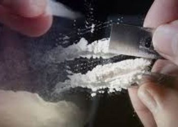 Συνελήφθη ένας άνδρας σε περιοχή του Πύργου για καλλιέργεια και κατοχή ναρκωτικών