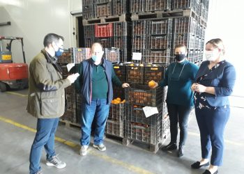 Επίσκεψη Αντιπεριφερειάρχη Π.Ε Ηλείας Β. Γιαννόπουλου σε Συσκευαστήρια Εσπεριδοειδών και Ελαιοτριβεία