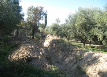 ΝΙΚΟΣ ΚΟΡΟΒΕΣΗΣ: Καθαρίστηκε ο καθαρισμός της Ξηροχωρίτικης γράνας στη Ζαχάρω