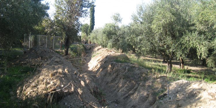 ΝΙΚΟΣ ΚΟΡΟΒΕΣΗΣ: Καθαρίστηκε ο καθαρισμός της Ξηροχωρίτικης γράνας στη Ζαχάρω
