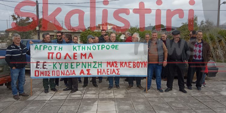 ΟΜΟΣΠΟΝΔΙΑ ΑΓΡΟΤΙΚΩΝ ΣΥΛΛΟΓΩΝ ΗΛΕΙΑΣ: “Όλοι στην απεργία στις 26 Νοέμβρη για να υπερασπιστούμε τη ζωή και τα δικαιώματά μας”