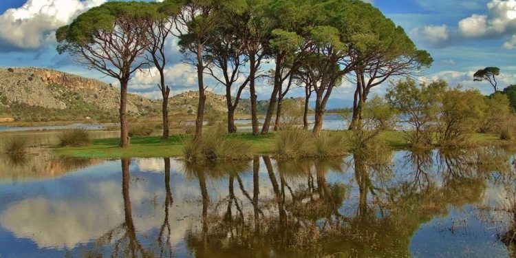 ΟΙΚΟΛΟΓΙΚΗ ΔΥΤΙΚΗ ΕΛΛΑΔΑ: “Η Περιφέρεια «εξαφανίζει» τους θεσμούς προστασίας της φύσης”