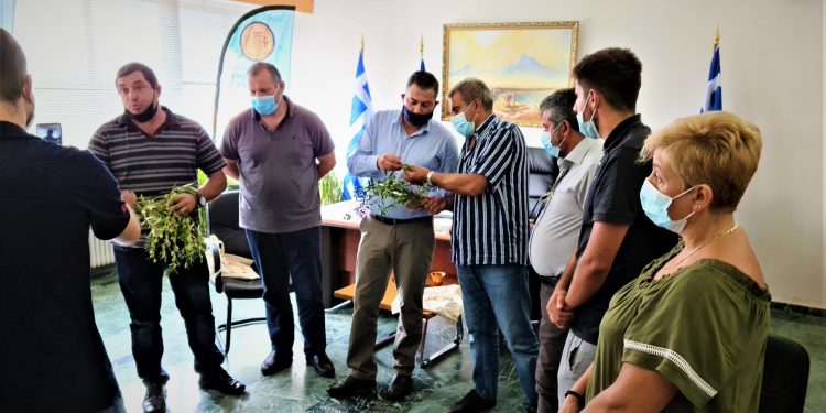 Θ. ΒΑΣΙΛΟΠΟΥΛΟΣ: “Να δοθούν άμεσα  προκαταβολικά οι  αποζημιώσεις σε αγρότες- κτηνοτρόφους!”