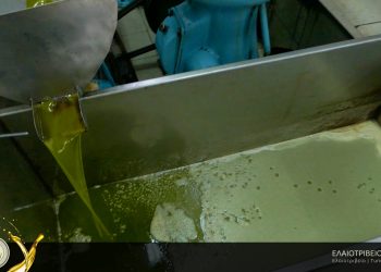 ΔΗΜΟΣ ΗΛΙΔΑΣ: Σύλληψη για απάτη σε ελαιοτριβέα