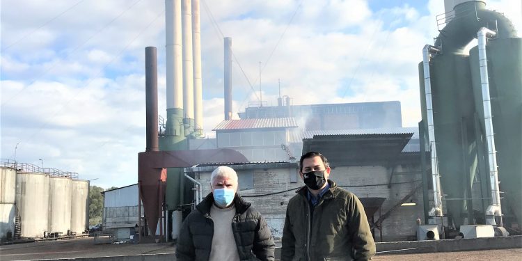 Στα πυρηνελαιουργεία στο Επιτάλιο ο Αντιπεριφερειάρχης Θ. Βασιλόπουλος