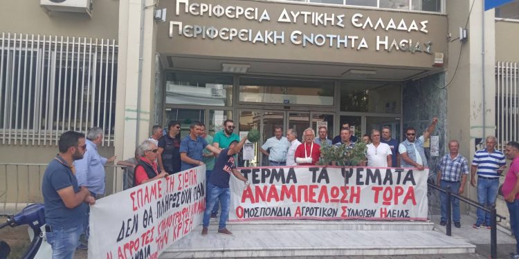 ΟΜΟΣΠΟΝΔΙΑ ΑΓΡΟΤΙΚΩΝ ΣΥΛΛΟΓΩΝ ΗΛΕΙΑΣ ΑΓΡΟΤΙΚΟΙ ΣΥΛΛΟΓΟΙ ΑΜΑΛΙΑΔΑΣ, ΚΑΡΔΑΜΑ και ΠΗΝΕΙΑΣ: Άμεση αποζημίωση από την κυβέρνηση για την κάλυψη της καλλιέργειας όψιμου καρπουζιού