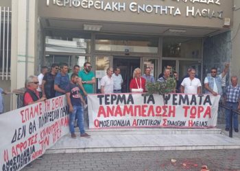 ΟΑΣΗ: Συγκέντρωση ελαιολάδου για τους σεισμοπαθείς της Θεσσαλίας