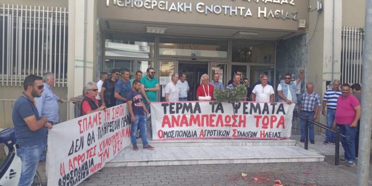 ΟΑΣΗ: Συγκέντρωση ελαιολάδου για τους σεισμοπαθείς της Θεσσαλίας