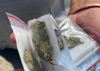 Συνελήφθη καλλιεργητής ναρκωτικών σε περιοχή της Αμαλιάδας