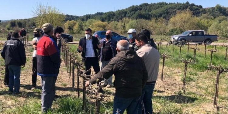 ΑΝΔΡΕΑΣ ΝΙΚΟΛΑΚΟΠΟΥΛΟΣ: “Η καταστροφή του παγετού είναι μεγάλη και η πίεση προς τον ΕΛΓΑ πρέπει να είναι μεγαλύτερη”