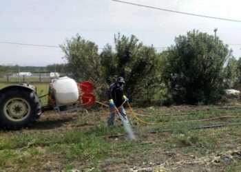 “Εμπιστεύομαι τη δημοτική αρχή”