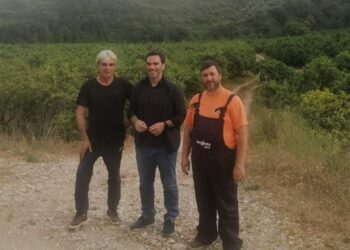 Παγετός και πανδημία προκάλεσαν αδιέξοδα στους αγρότες