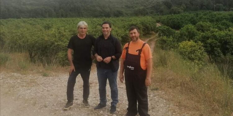 Παγετός και πανδημία προκάλεσαν αδιέξοδα στους αγρότες