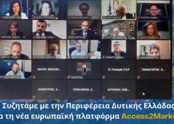 ΠΕΡΙΦΕΡΕΙΑ ΔΥΤΙΚΗΣ ΕΛΛΑΔΑΣ: Τη διαδικτυακή πλατφόρμα «Access2markets» παρουσίασε η Άννα Μισέλ Ασημακοπούλου στη συνεδρίαση του ΣΕΑΔΕ