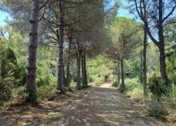 ΔΗΜΟΣ ΑΝΔΡΑΒΙΔΑΣ – ΚΥΛΛΗΝΗΣ: Ανάπλαση και καθαρισμός του περιβάλλοντα χώρου, των Ιαματικών Λουτρών Κυλλήνης