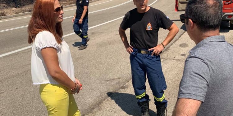 Οικολόγοι ΠΡΑΣΙΝΟΙ: “Ας δοθεί επιτέλους έμφαση στην πρόληψη των πυρκαγιών!”
