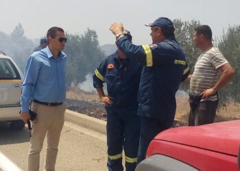 “Ριζικά μέτρα για φυτική παραγωγή,  ζωϊκό κεφάλαιο και μελισσοκόμους”